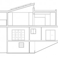 Longitudinal Section